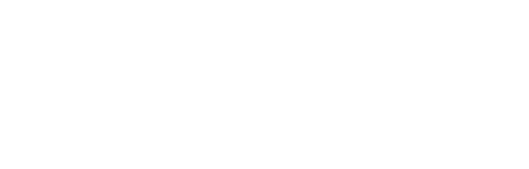 Digital Finance Group