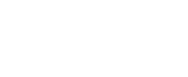 Raptor Digital/Raptor Group